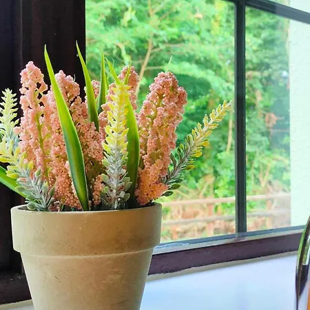 Feriehus Rynn Haven - Enchanting Townhouse Lough Rynn