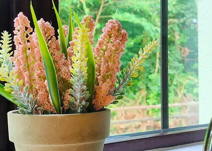 Сasa de vacaciones Rynn Haven - Enchanting Townhouse Lough Rynn